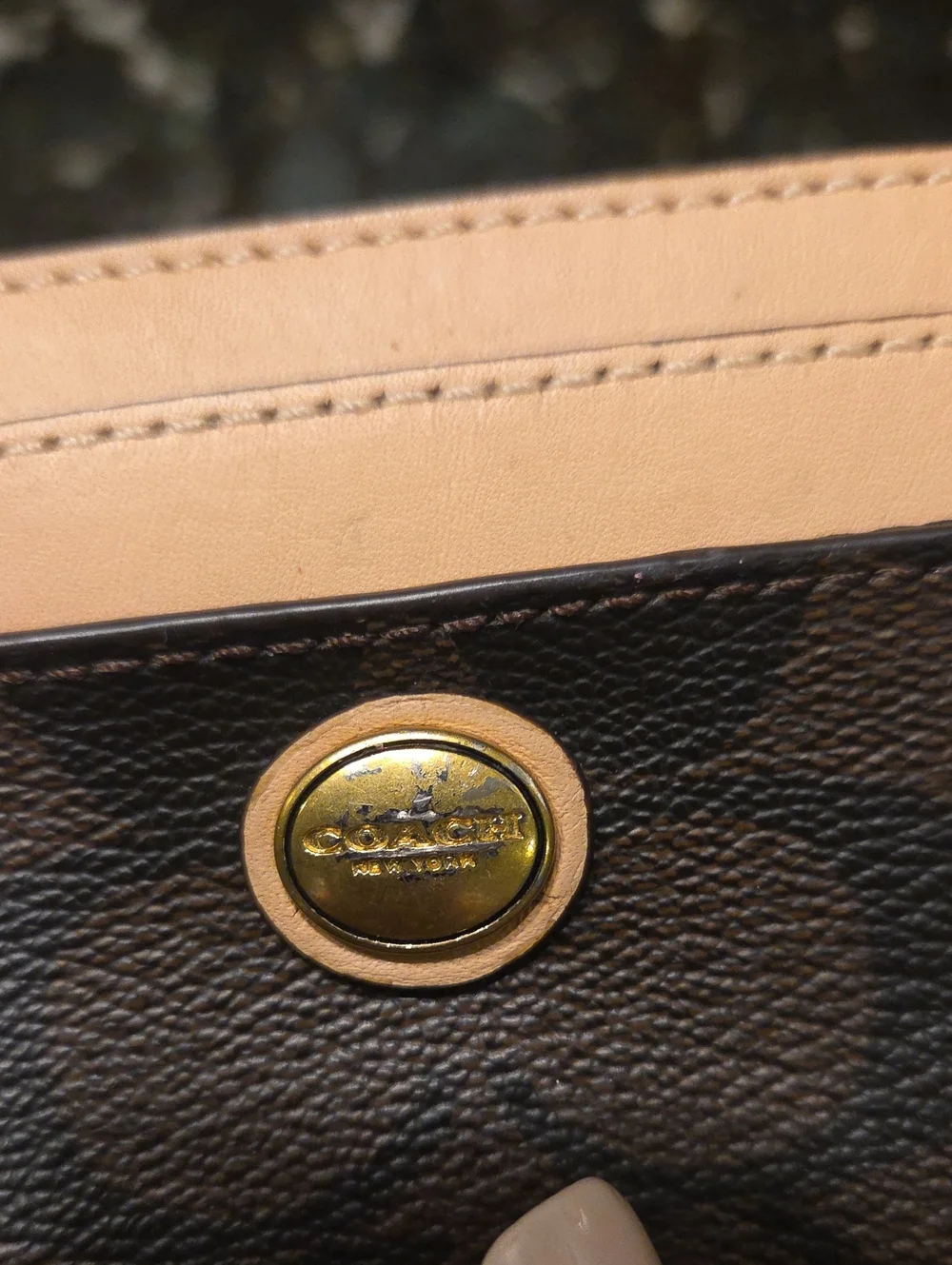 Coach slim card